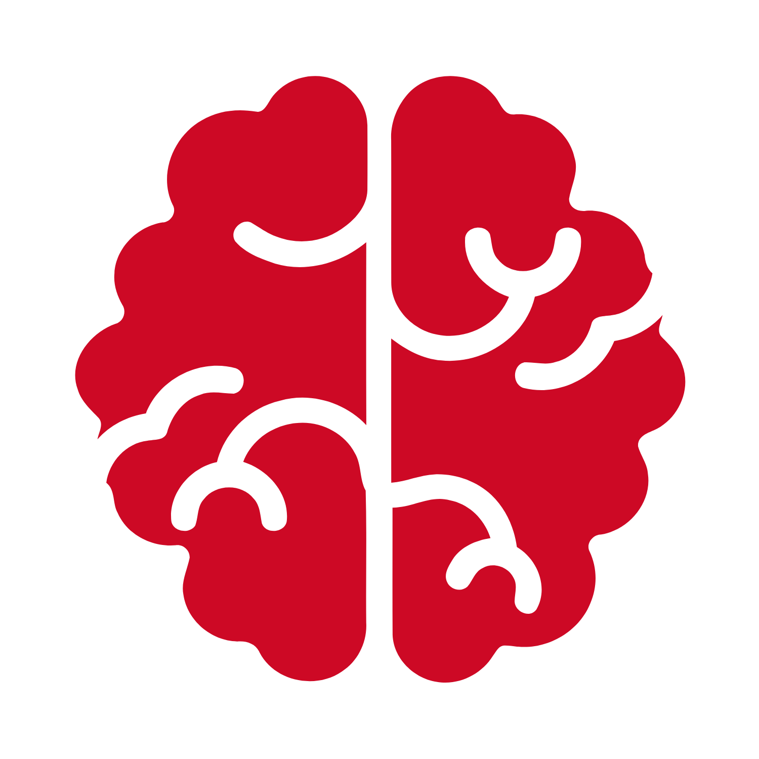 psychological and mental health injuries